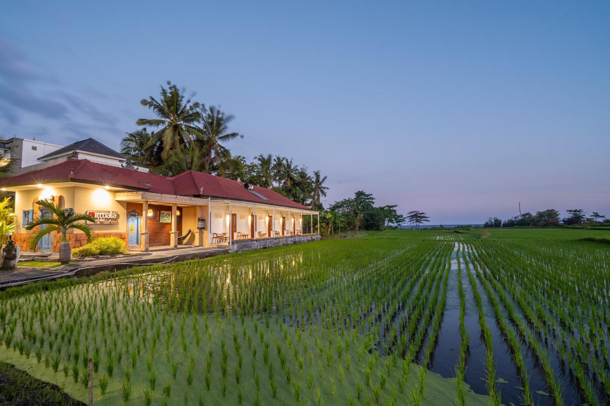 Nirmala Guest House Surf Keramas Luaran gambar